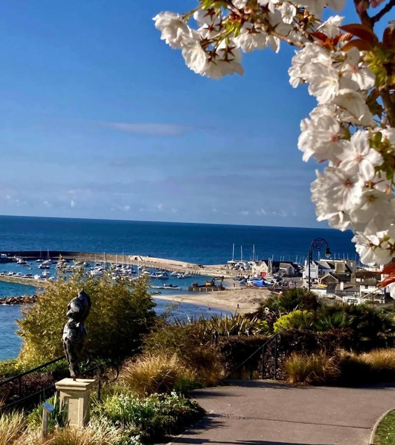 Fantastic Spacious House With Beautiful Panoramic Views Of The Bay Only A Few Minutes Walk From Beach Harbour And Restaurants This House Has 3 Bedrooms 3 Bathrooms And 2 Lovely Sitting Rooms Lyme Regis Buitenkant foto